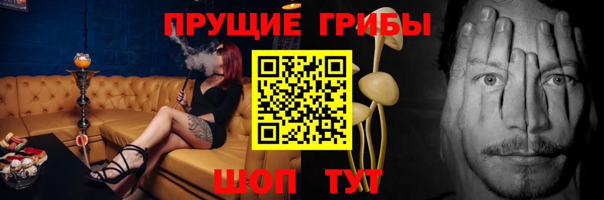 Псилоцибиновые грибы MAGIC MUSHROOMS  Вход с VPN  Серов 